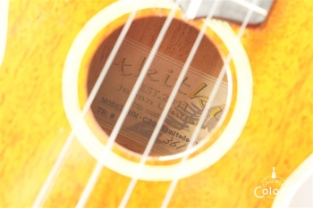 HM-C20 Concert -TR10th Anniversary Model- #361